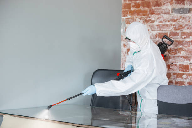 Why You Should Choose Our Mold Remediation Services in Fernandina Beach, FL